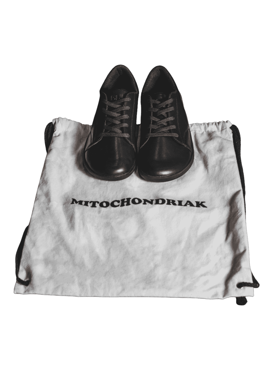 Mitochondriak grounding shoes
